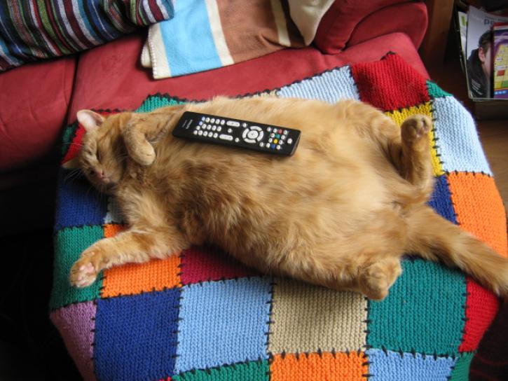 Even relaxen