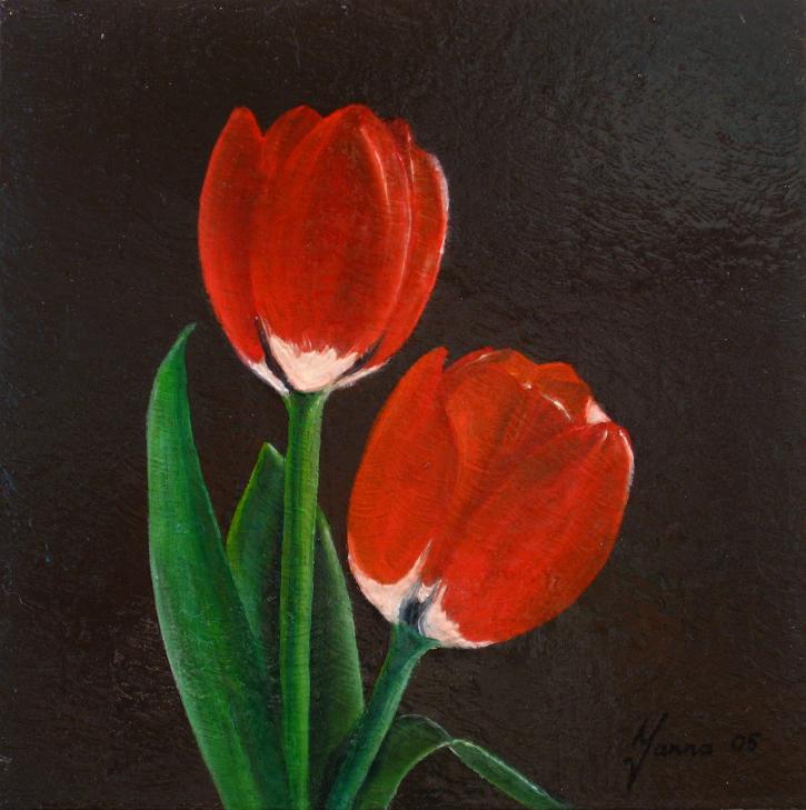 Twee tulpen